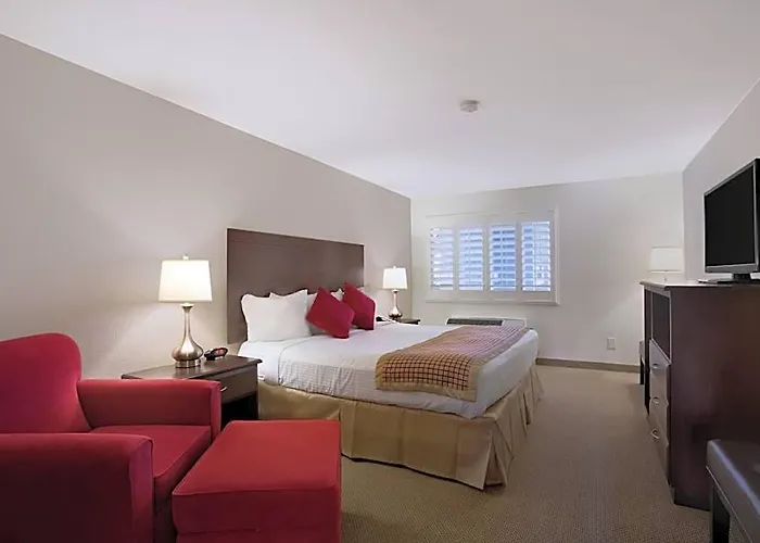 Infinity & Hotel Tempe