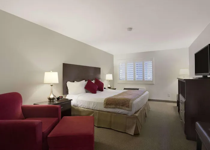 Hotel Infinity &